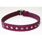 10-BOYSENBERRY